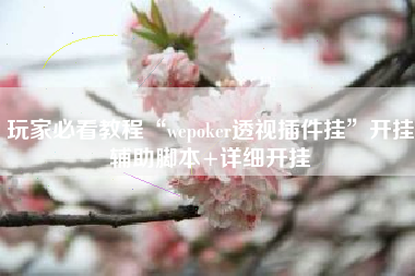 玩家必看教程“wepoker透视插件挂”开挂辅助脚本+详细开挂