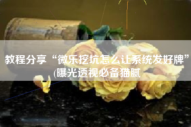 教程分享“微乐挖坑怎么让系统发好牌”(曝光透视必备猫腻