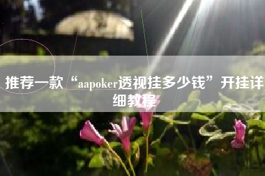 推荐一款“aapoker透视挂多少钱”开挂详细教程