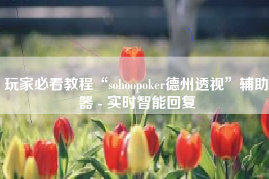 玩家必看教程“sohoopoker德州透视”辅助器 - 实时智能回复