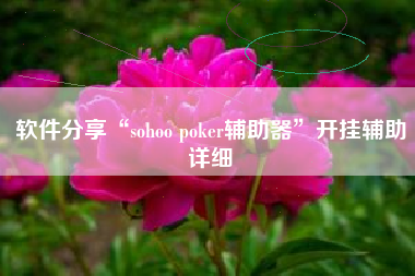 软件分享“sohoo poker辅助器	”开挂辅助详细