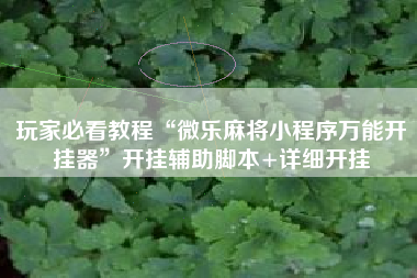 玩家必看教程“微乐麻将小程序万能开挂器”开挂辅助脚本+详细开挂