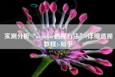 实测分析“wepoker透视方法”(详细透视教程)-知乎