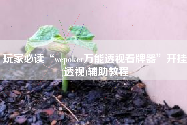 玩家必读“wepoker万能透视看牌器	”开挂(透视)辅助教程