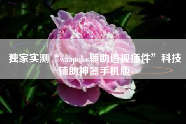 独家实测“waapoke辅助透视插件”科技辅助神器手机版