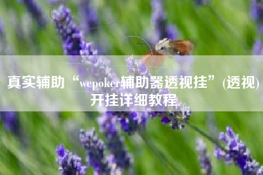真实辅助“wepoker辅助器透视挂”(透视)开挂详细教程