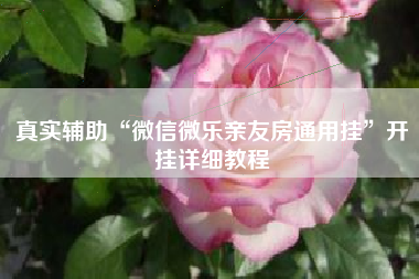 真实辅助“微信微乐亲友房通用挂	”开挂详细教程