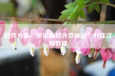 软件分享“微乐麻将外卦神器”开挂详细教程