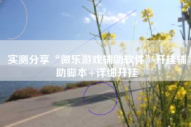 实测分享“微乐游戏辅助软件	”开挂辅助脚本+详细开挂