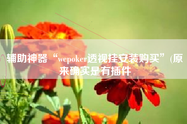 辅助神器“wepoker透视挂安装购买”(原来确实是有插件
