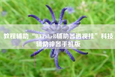教程辅助“WEPokeR辅助器透视挂”科技辅助神器手机版
