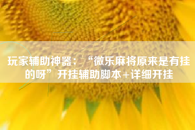 玩家辅助神器：“微乐麻将原来是有挂的呀”开挂辅助脚本+详细开挂