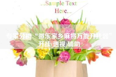 专家分析“微乐家乡麻将万能开挂器”开挂(透视)辅助