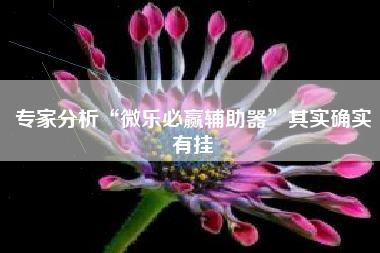 专家分析“微乐必赢辅助器	”其实确实有挂