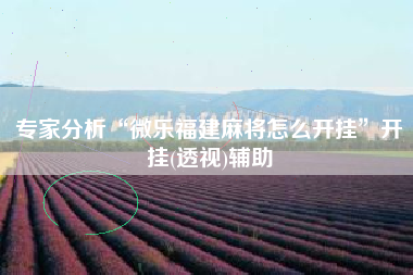 专家分析“微乐福建麻将怎么开挂”开挂(透视)辅助