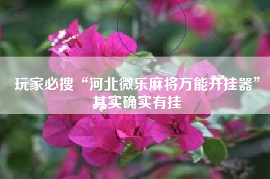 玩家必搜“河北微乐麻将万能开挂器”其实确实有挂