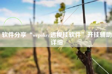 软件分享“wepoker透视挂软件	”开挂辅助详细