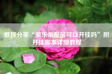 教程分享“微乐亲友房可以开挂吗”附开挂脚本详细教程