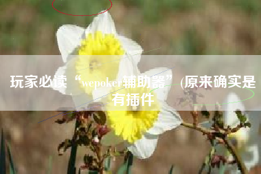 玩家必读“wepoker辅助器”(原来确实是有插件