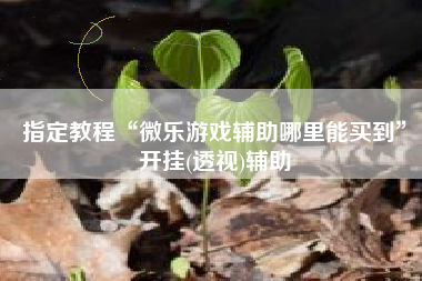 指定教程“微乐游戏辅助哪里能买到”开挂(透视)辅助