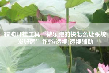 辅助开挂工具“微乐跑的快怎么让系统发好牌”作弊(透视)透视辅助