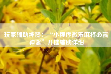 玩家辅助神器：“小程序微乐麻将必赢神器”开挂辅助详细