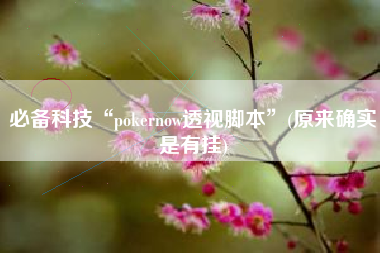 必备科技“pokernow透视脚本”(原来确实是有挂)