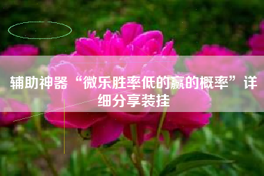 辅助神器“微乐胜率低的赢的概率”详细分享装挂