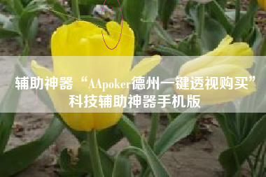辅助神器“AApoker德州一键透视购买”科技辅助神器手机版