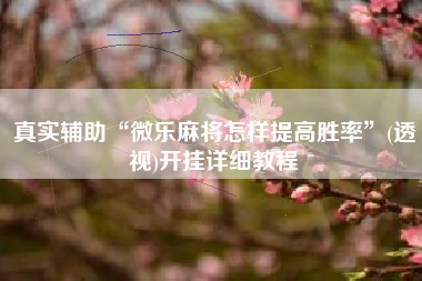 真实辅助“微乐麻将怎样提高胜率”(透视)开挂详细教程