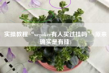实操教程“wepoker有人买过挂吗”(原来确实是有挂)