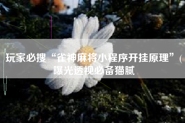 玩家必搜“雀神麻将小程序开挂原理”(曝光透视必备猫腻