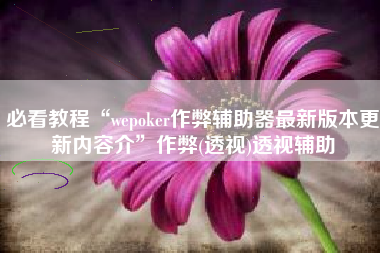 必看教程“wepoker作弊辅助器最新版本更新内容介”作弊(透视)透视辅助