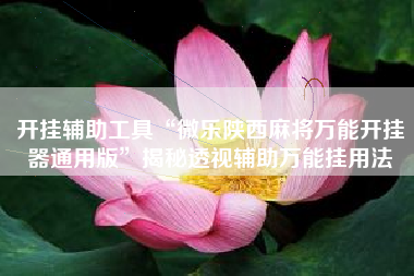 开挂辅助工具“微乐陕西麻将万能开挂器通用版”揭秘透视辅助万能挂用法