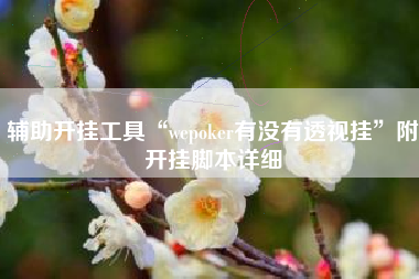 辅助开挂工具“wepoker有没有透视挂”附开挂脚本详细