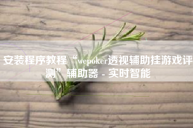 安装程序教程“wepoker透视辅助挂游戏评测	”辅助器 - 实时智能