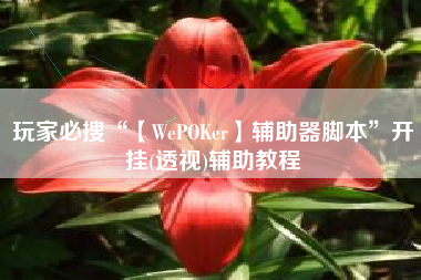 玩家必搜“【WePOKer】辅助器脚本	”开挂(透视)辅助教程
