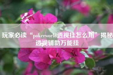 玩家必读“pokerworld透视挂怎么用”揭秘透视辅助万能挂