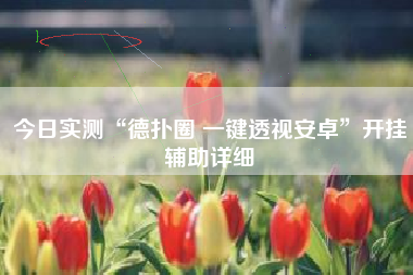 今日实测“德扑圈 一键透视安卓”开挂辅助详细