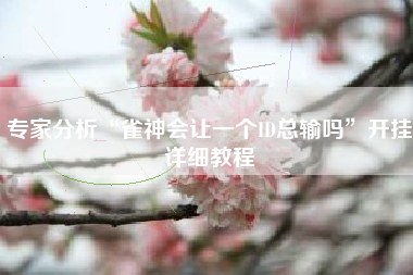 专家分析“雀神会让一个ID总输吗”开挂详细教程