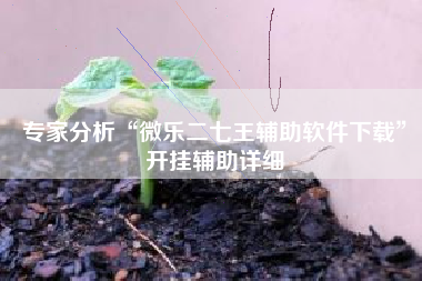 专家分析“微乐二七王辅助软件下载”开挂辅助详细