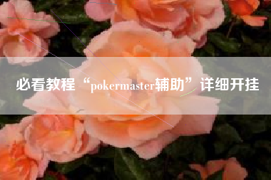 必看教程“pokermaster辅助”详细开挂