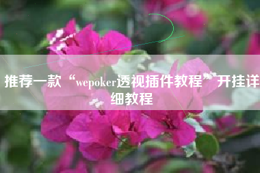 推荐一款“wepoker透视插件教程”开挂详细教程
