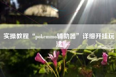 实操教程“pokemmo辅助器”详细开挂玩法