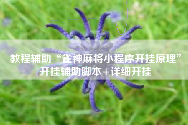 教程辅助“雀神麻将小程序开挂原理	”开挂辅助脚本+详细开挂