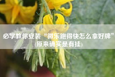 必学教你安装“微乐跑得快怎么拿好牌	”(原来确实是有挂)