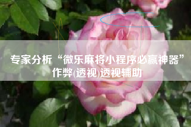 专家分析“微乐麻将小程序必赢神器”作弊(透视)透视辅助