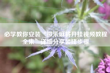 必学教你安装“微乐麻将开挂视频教程全集”详细分享装挂步骤