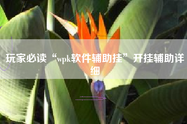 玩家必读“wpk软件辅助挂	”开挂辅助详细
