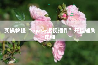 实操教程“wepoKer透视插件”开挂辅助详细